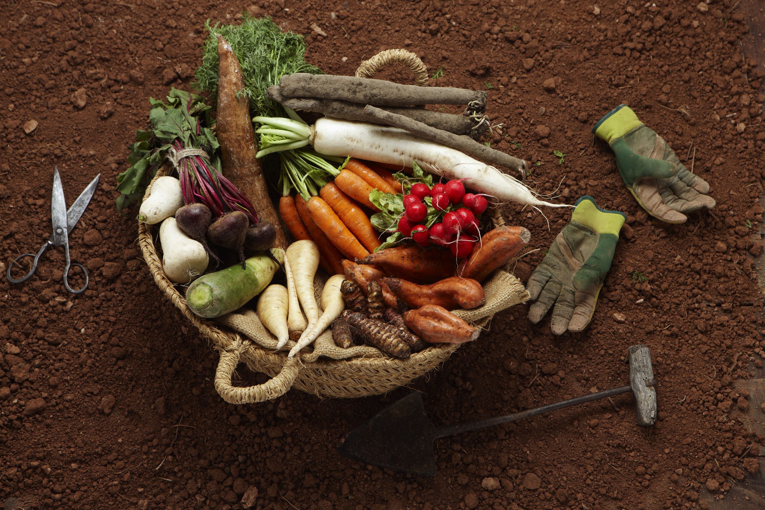 produce