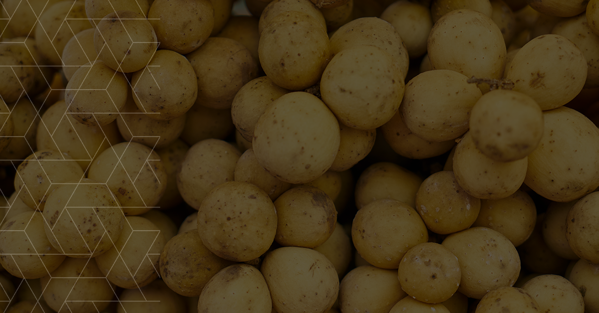 Reduce Food Costs