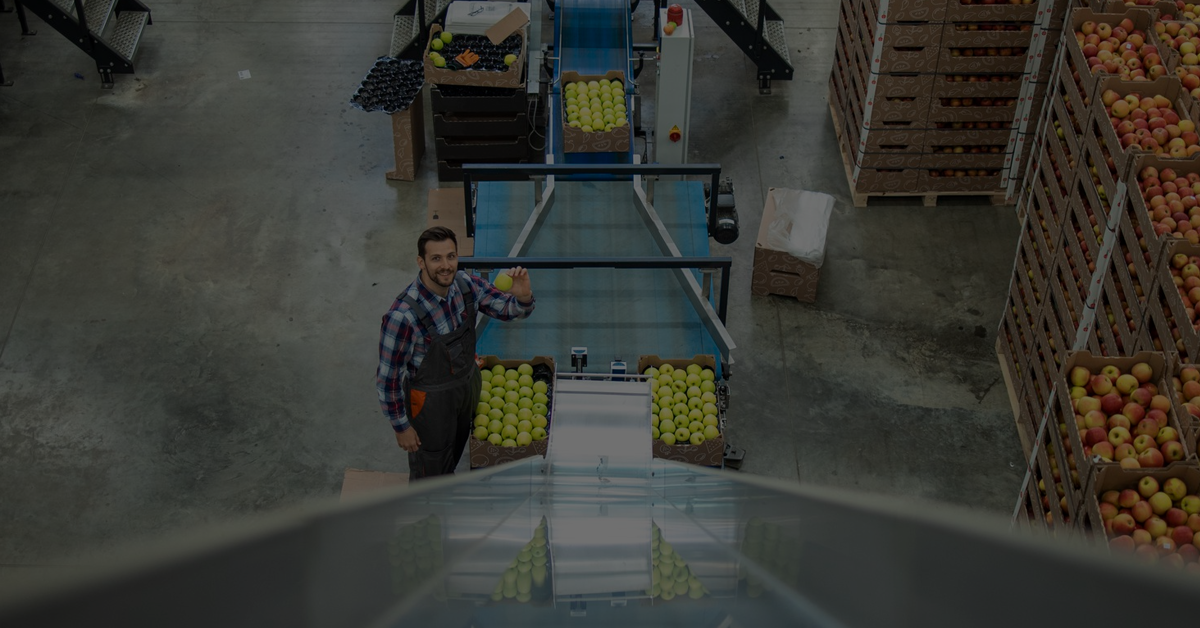 supply chain management