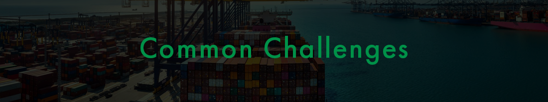 common supply chain challenges