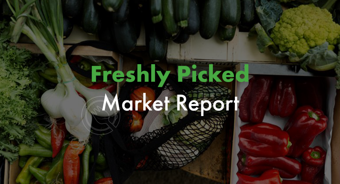 consolidated concepts freshly picked market report with updated snapshots of commodities