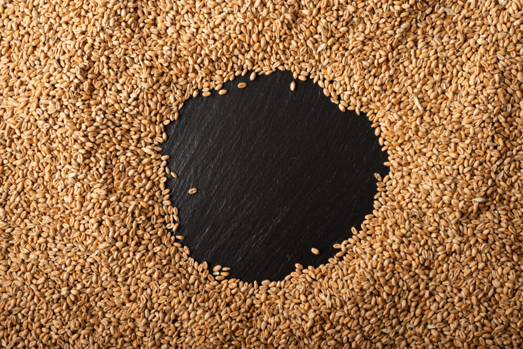 grains commodity updates from consolidated concepts week of february 24 2025