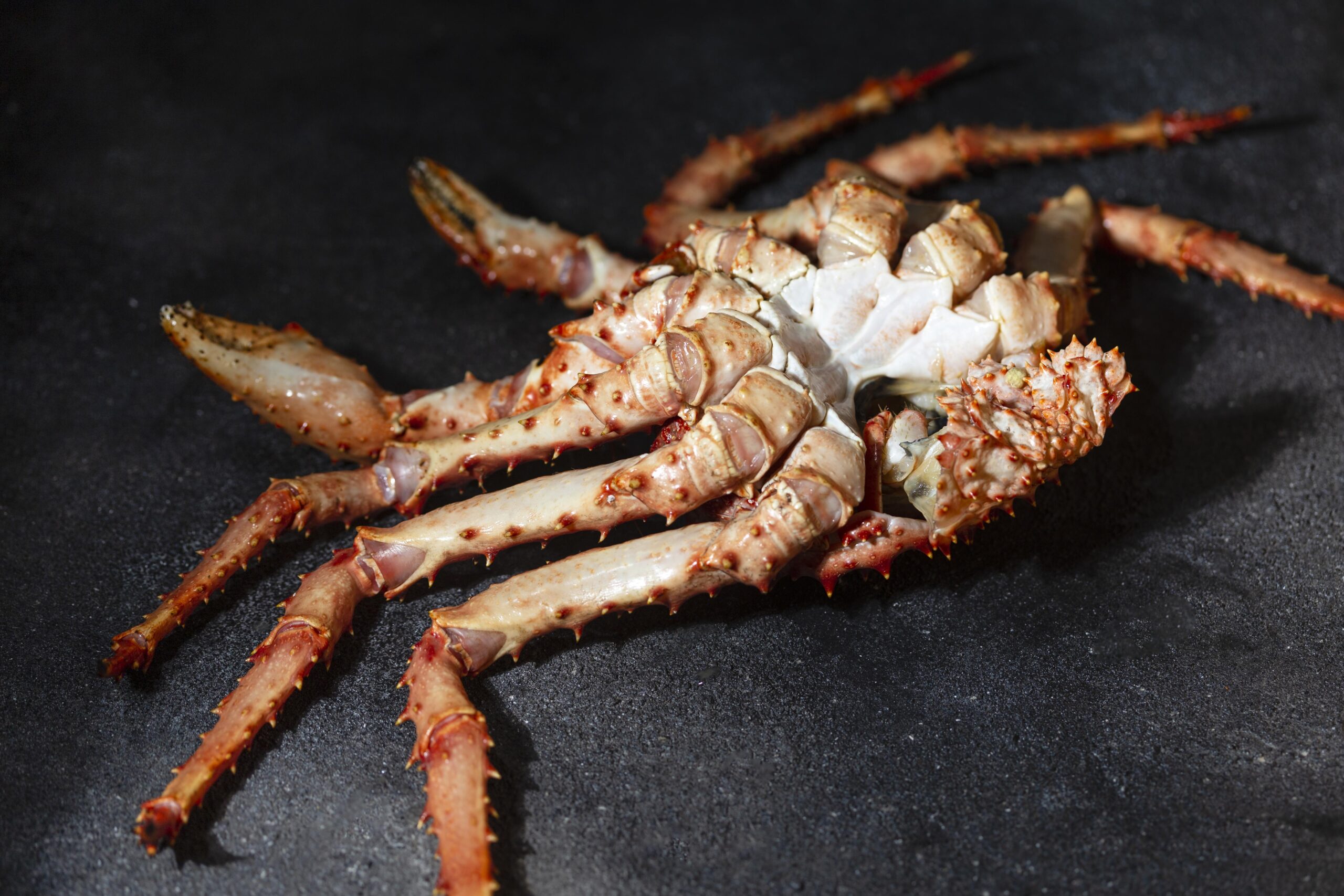 Seafood commodity update exclusively for Consolidated Concepts members, powered by CommodityONE