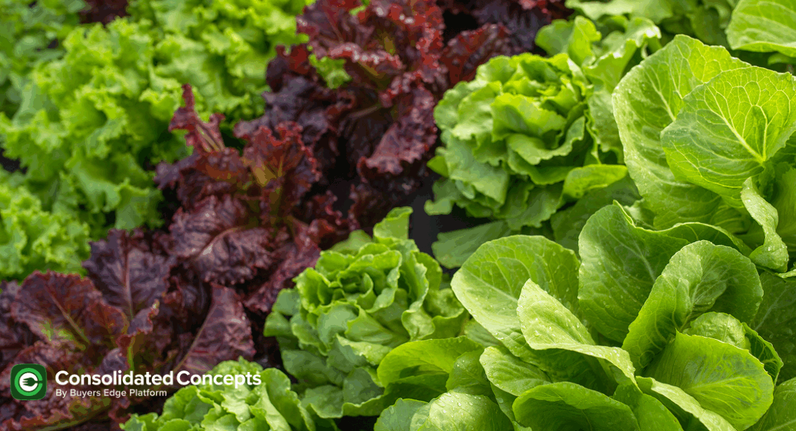 Commodity updates exclusively for Consolidated Concepts clients, powered by CommodityONE.