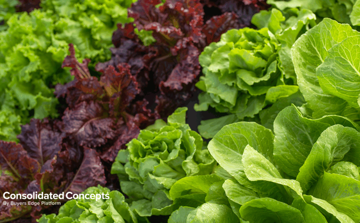 Commodity updates exclusively for Consolidated Concepts clients, powered by CommodityONE.