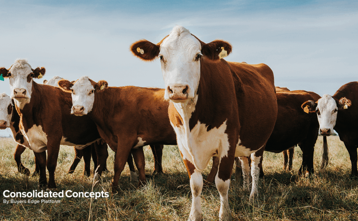 Commodity updates exclusively for Consolidated Concepts clients, powered by CommodityONE.