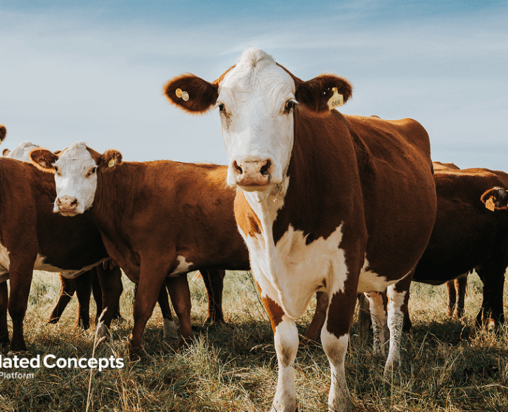 Commodity updates exclusively for Consolidated Concepts clients, powered by CommodityONE.