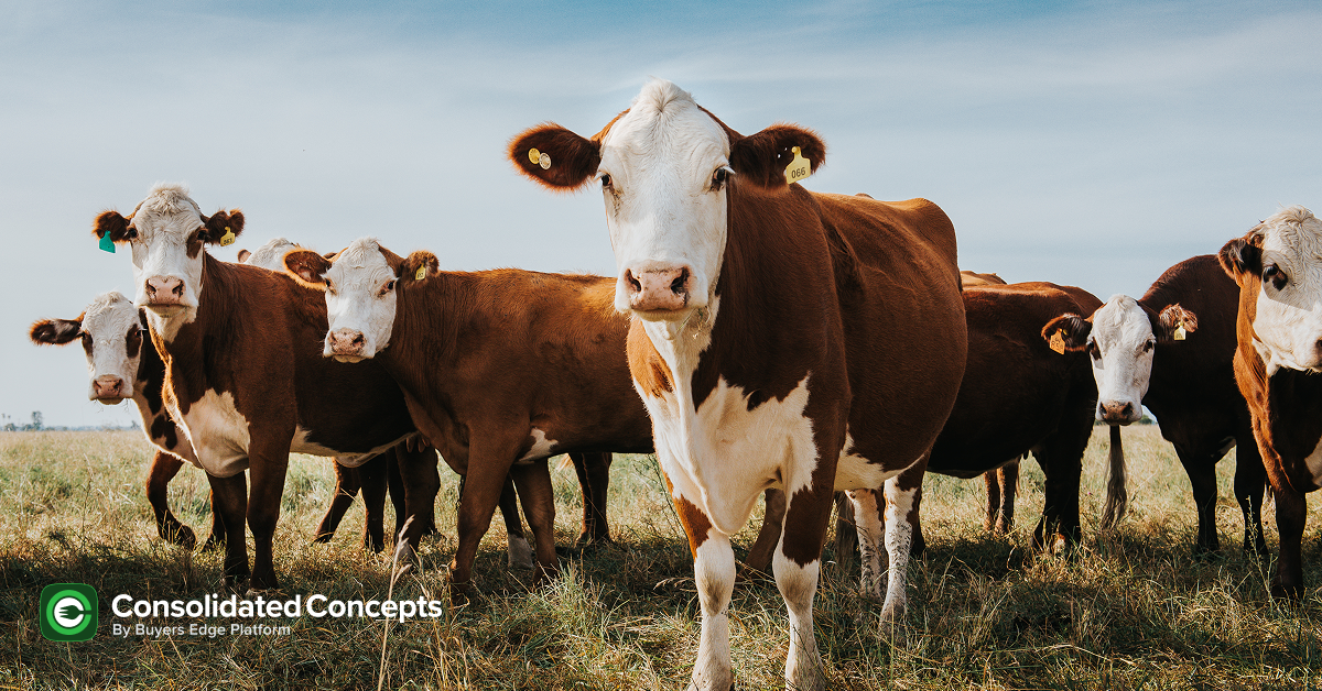 Commodity updates exclusively for Consolidated Concepts clients, powered by CommodityONE.