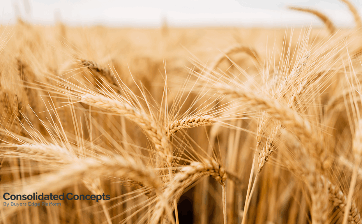 Commodity updates exclusively for Consolidated Concepts clients, powered by CommodityONE.