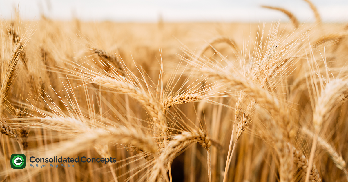 Commodity updates exclusively for Consolidated Concepts clients, powered by CommodityONE.