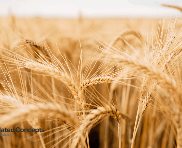 Commodity updates exclusively for Consolidated Concepts clients, powered by CommodityONE.