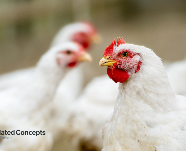 Commodity updates exclusively for Consolidated Concepts clients, powered by CommodityONE.