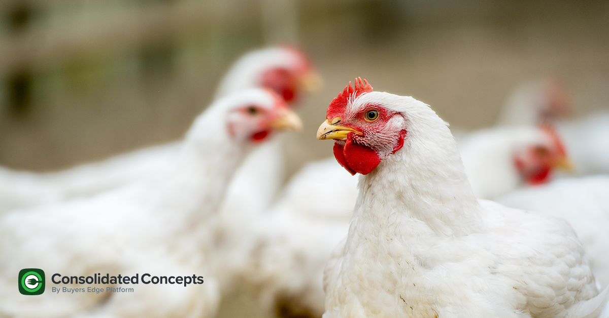 Commodity updates exclusively for Consolidated Concepts clients, powered by CommodityONE.