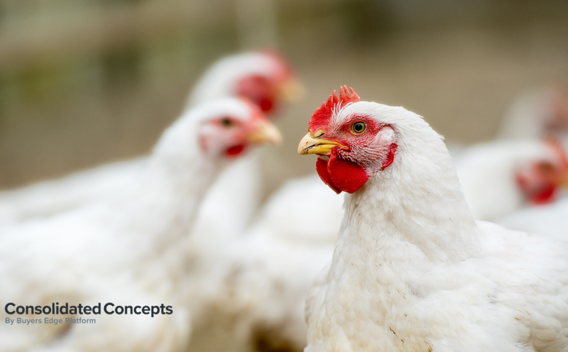 Freshly Picked, March 17, 2026