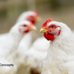 Freshly Picked, March 17, 2026