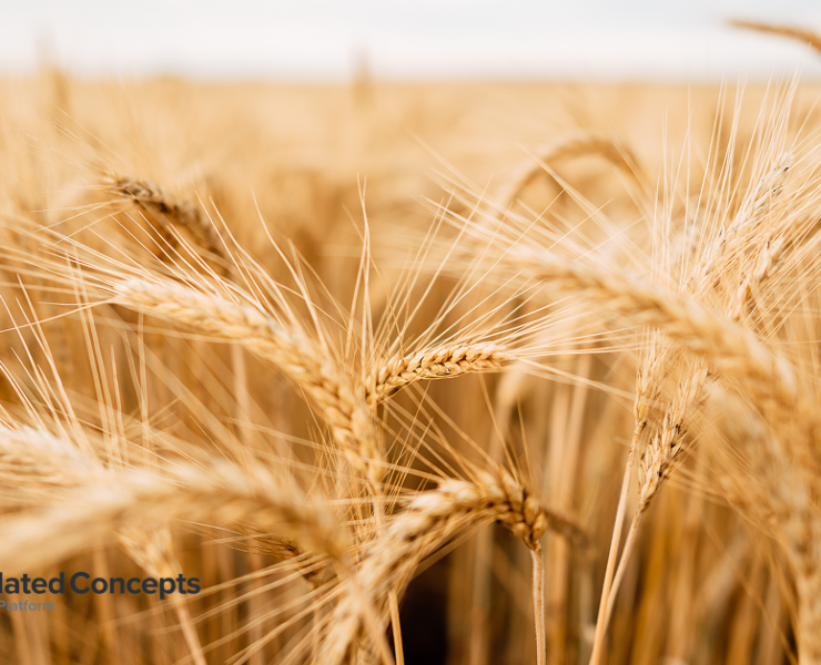 Freshly Picked, March 3, 2026