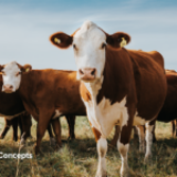 Freshly Picked, April 14, 2026