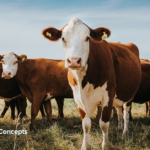 Freshly Picked, April 14, 2026