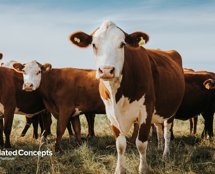 Freshly Picked, April 14, 2026